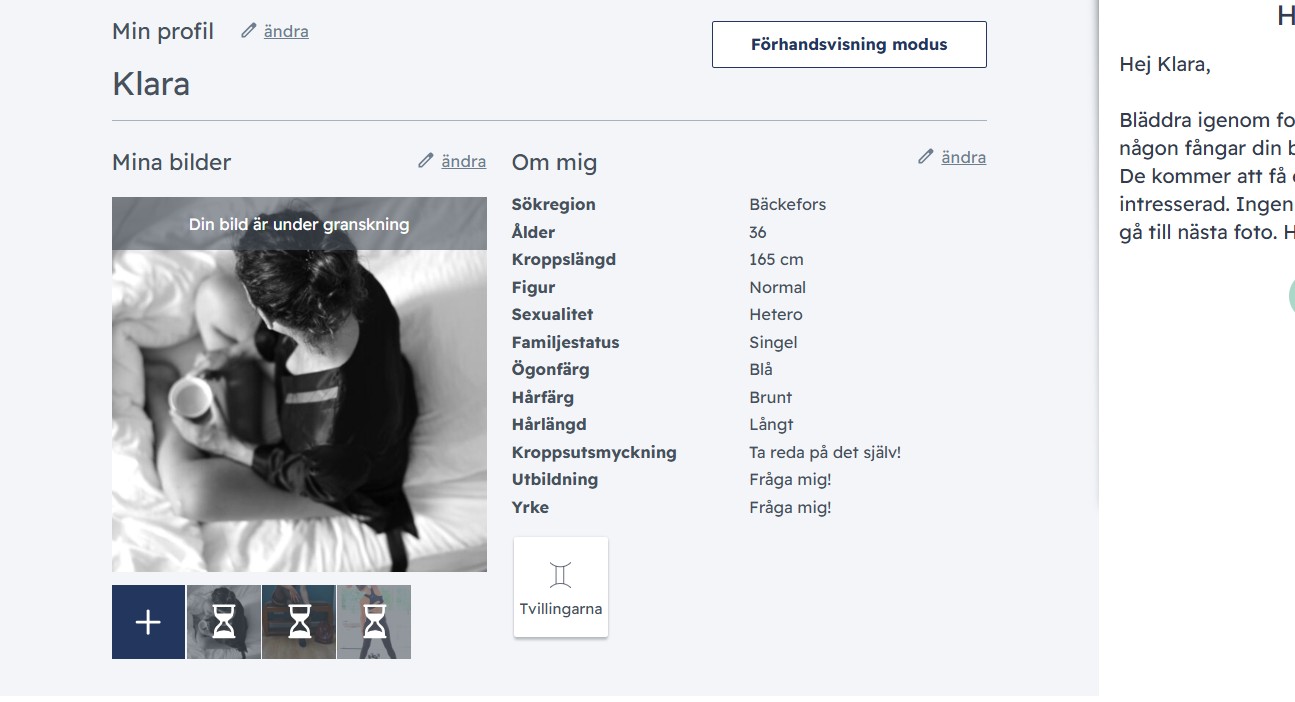 C-Date Profil Exempel 1