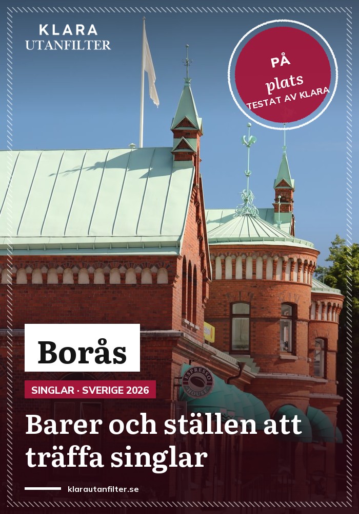 Dejting Boras