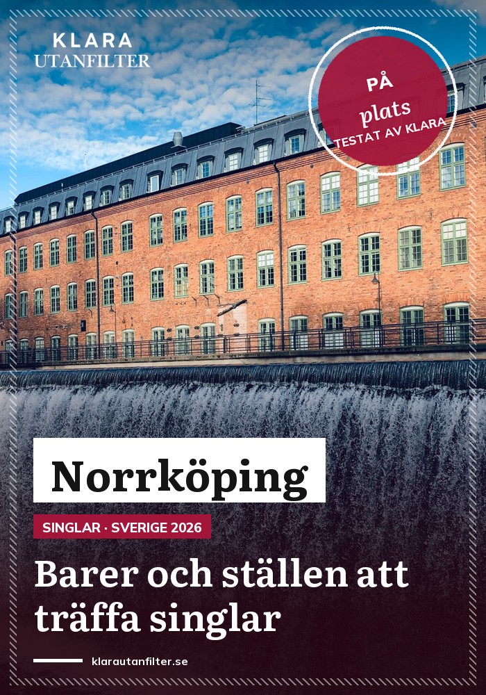 Dejting Norrkoping
